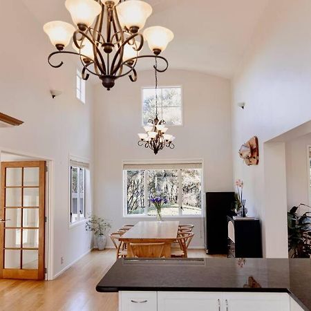 Modern Lifestyle Retreat With Stunning City View Auckland Dış mekan fotoğraf